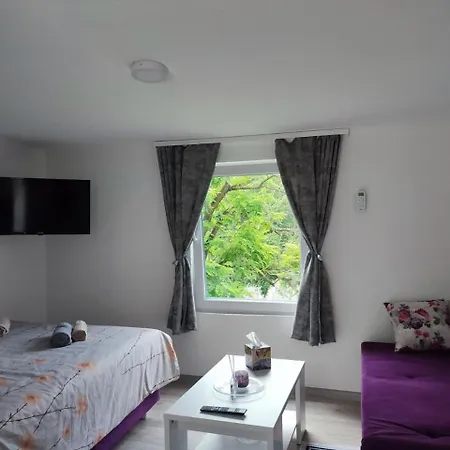 Georgeous Lux Ak Apartament